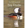 The North American Sea Ducks