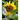 To Garden With God