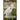 Lucy Maud Montgomery Short Stories, 1905 to 1906