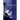 The Will of God
