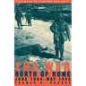 The War North of Rome: June 1944-May 1945