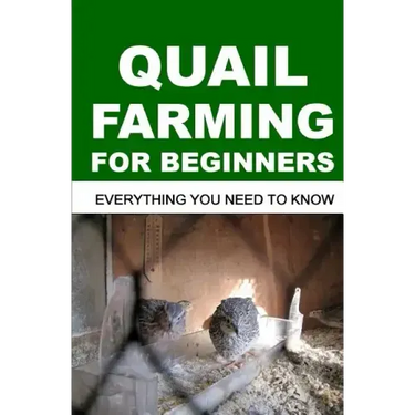 Quail Farming for Beginners: Everything You Need To Know