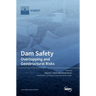 Dam Safety.: Overtopping and Geostructural Risks