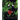 Creature or Critter?