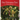 Our Christmas Tree: Christmas Memories