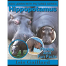 Hippopotamus: Photos and Fun Facts for Kids