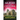 Murder at the Cathedral: An utterly gripping and addictive cozy murder mystery set in England