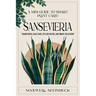A mini-guide to smart plant care: Sansevieria
