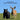 Most Popular North American Animals Kids Book: Children's book with Lifelike Pictures and Fun Facts about Animals