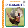 Pheasants