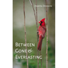Between Gone and Everlasting