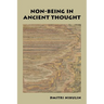 Non-Being in Ancient Thought