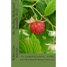 No Healing Medicines!: I've Claimed the promise... So Why Am I Not Healed? Because there are: