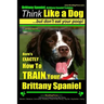 Brittany Spaniel, Brittany Spaniel Training Think Like a Dog But Don't Eat Your Poop! Brittany Spaniel Breed Expert Training: Here's EXACTLY How To TR