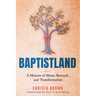 Baptistland: A Memoir of Abuse, Betrayal, and Transformation
