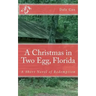 A Christmas in Two Egg, Florida: A Short Novel of Redemption