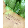 Jerusalem Artichoke: Prodcution and Marketing