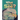 What Do You See?