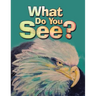 What Do You See?