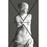 Venus in Retrograde: poems