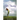 Still Standing
