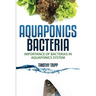 Aquaponics Bacteria: Importance of Bacterias in Aquaponics System