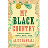My Black Country: A Journey Through Country Music's Black Past, Present, and Future