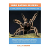 Bird Eating Spiders: Bird Eating Tarantula breeding, where to buy, types, care, temperament, cost, health, handling, diet, and much more in