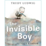 The Invisible Boy
