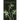 Gardening in the Dark