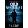 Cold Wonderland: An Ernie Creekmore Mystery