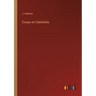 Essays on Cathedrals