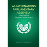 A United Nations Parliamentary Assembly: A policy review of Democracy Without Borders