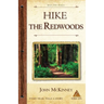 Hike the Redwoods: Best Day Hikes in Redwood National and State Parks