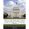 Report on Lake Sidney Lanier, Forsyth, Gwinnett, Hall, and Lumpkin Counties, Georgia: EPA Region IV, Working Paper No. 293