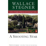 A Shooting Star