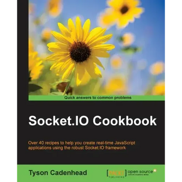 Socket.IO Cookbook