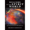 Welcome to the Spirit World: An Explanation of Metaphysics