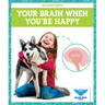 Your Brain When You're Happy
