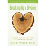 Breaking Up & Divorce 5 Steps: How To Heal and Be Comfortable Alone: The Relationship Formula Workbook Series