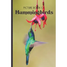 Picture Book Of Hummingbirds: Large Print Book For Seniors with Dementia or Alzheimer's