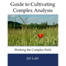 Guide to Cultivating Complex Analysis: Working the Complex Field
