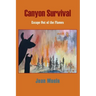 Canyon Survival: Escape Out of the Flames