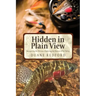 Hidden in Plain View: Recognizing the Obvious-Exploiting the Obscure in Fly Fishing