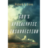 God's Apocalyptic Insurrection: A Post-Evangelical Theology of Salvation