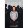 The Other Life of Mary Abrams