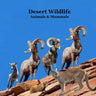 Desert Animals and Mammals Kids Wildlife Book: Great Book About Animals that Live in the Hottest Deserts of America