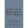 You're a Musician. Now What?: How to thrive in creative and financial freedom as a musician