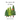 The Secret Life of Trees