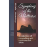 Symphony of the Multiverse: A collection of compelling and controversial ideas